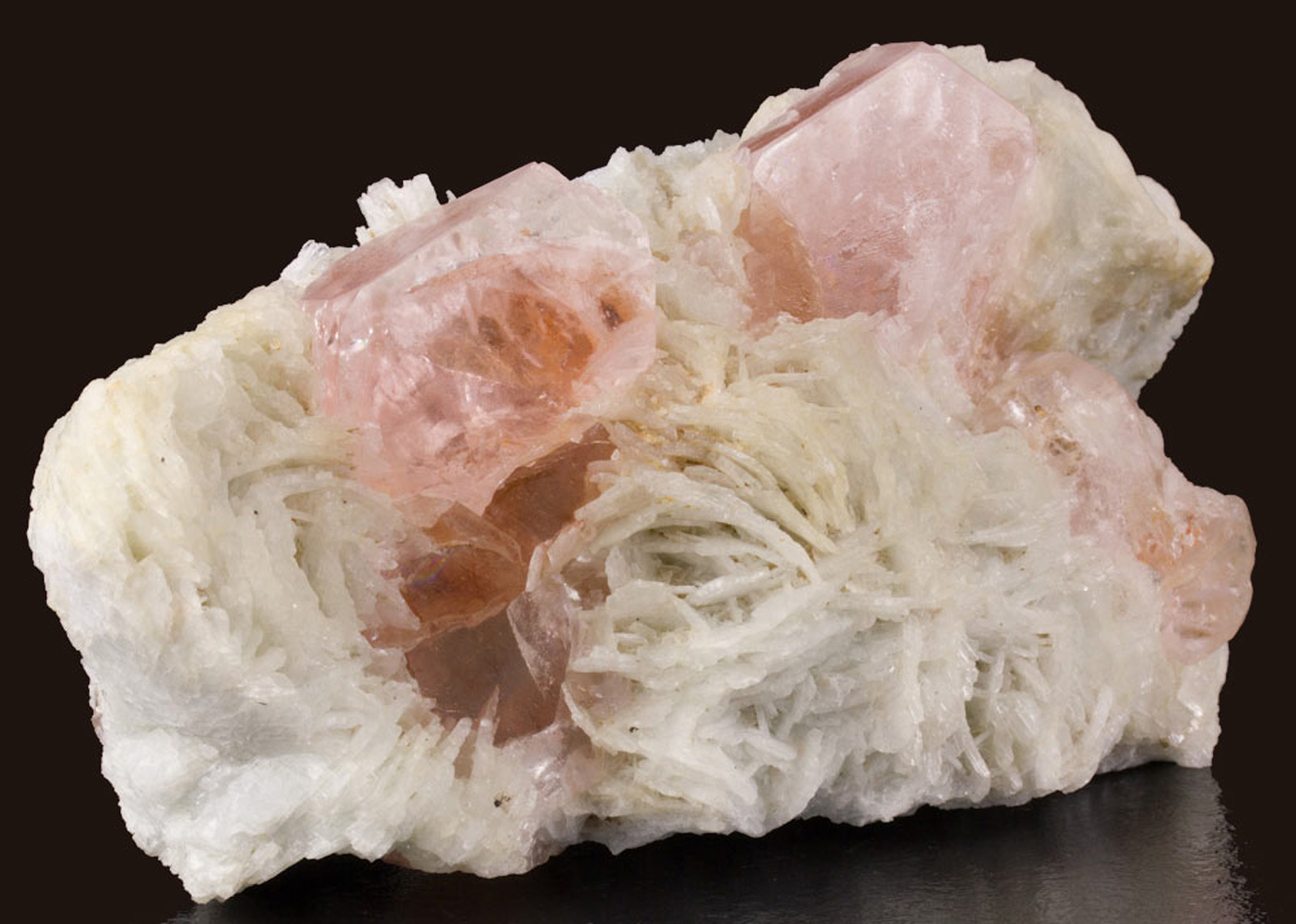 La morganite
