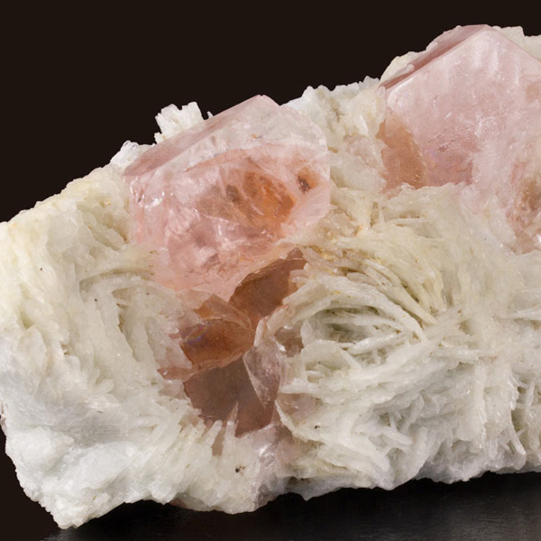 La morganite